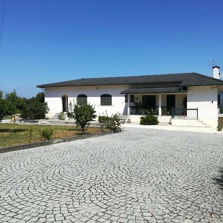 Casa Dos Lacos Viseu Εξωτερικό φωτογραφία