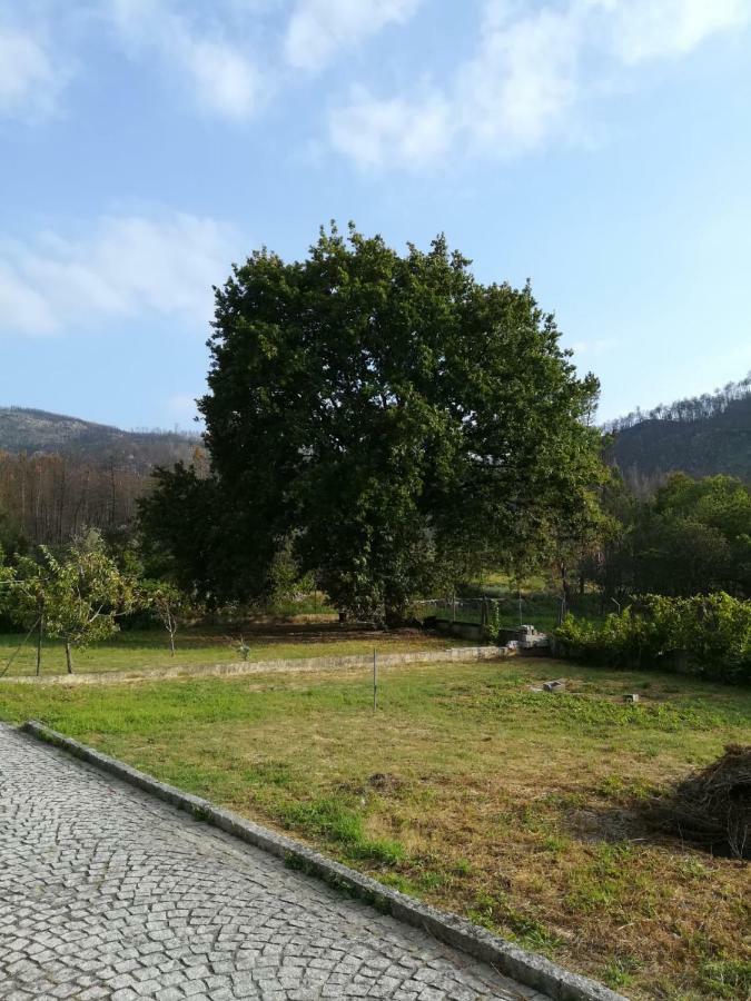 Casa Dos Lacos Viseu Εξωτερικό φωτογραφία